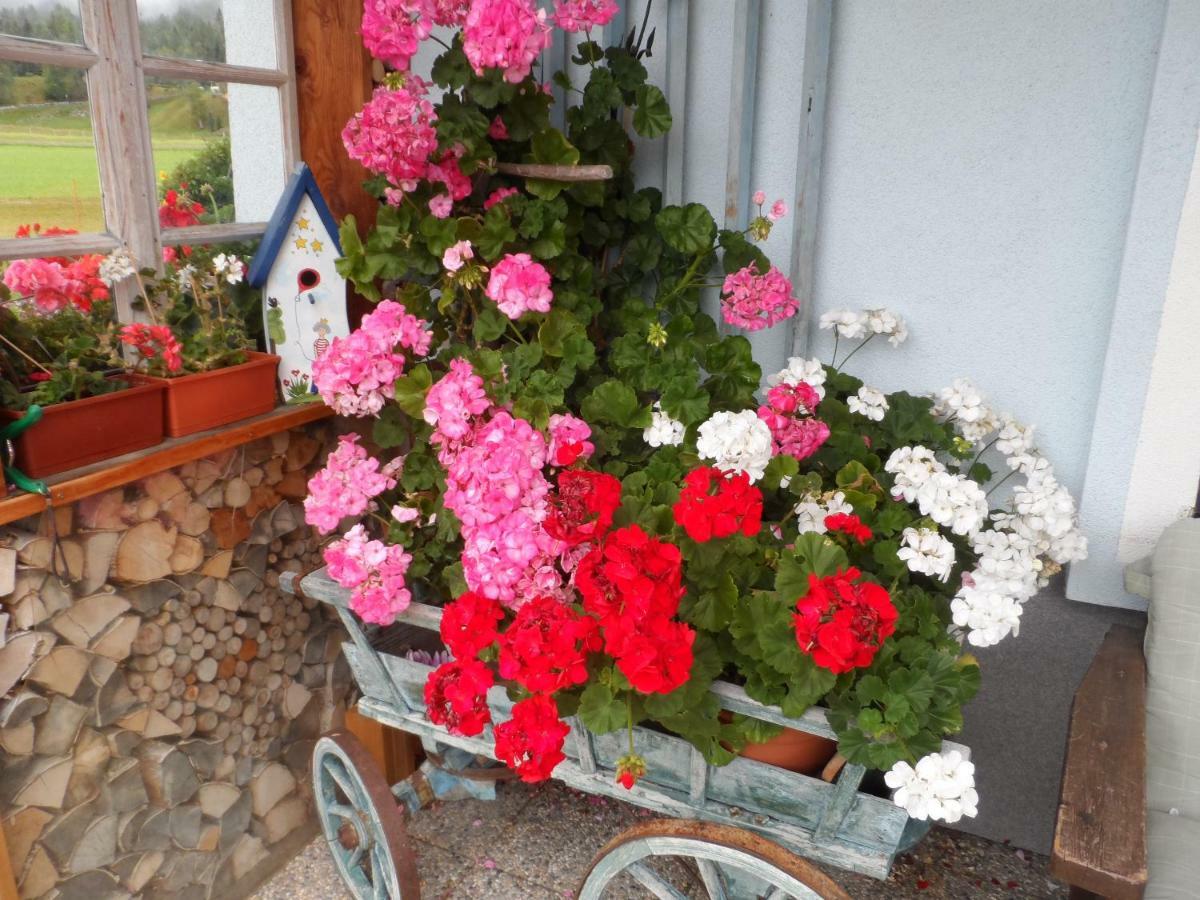 Haus Am Wiesenrain Leutasch Dış mekan fotoğraf