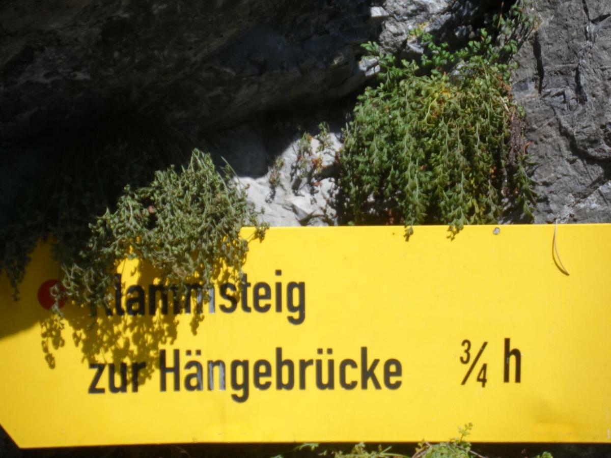 Haus Am Wiesenrain Leutasch Dış mekan fotoğraf